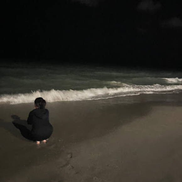 Meet your Posher, Dorian - Picture 1 of 1